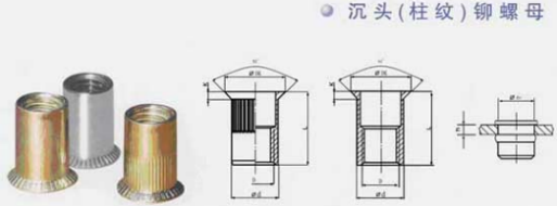 ���^���T��ĸ